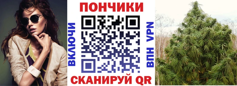 дарк нет телеграм  Верхотурье  Бошки марихуана семена 